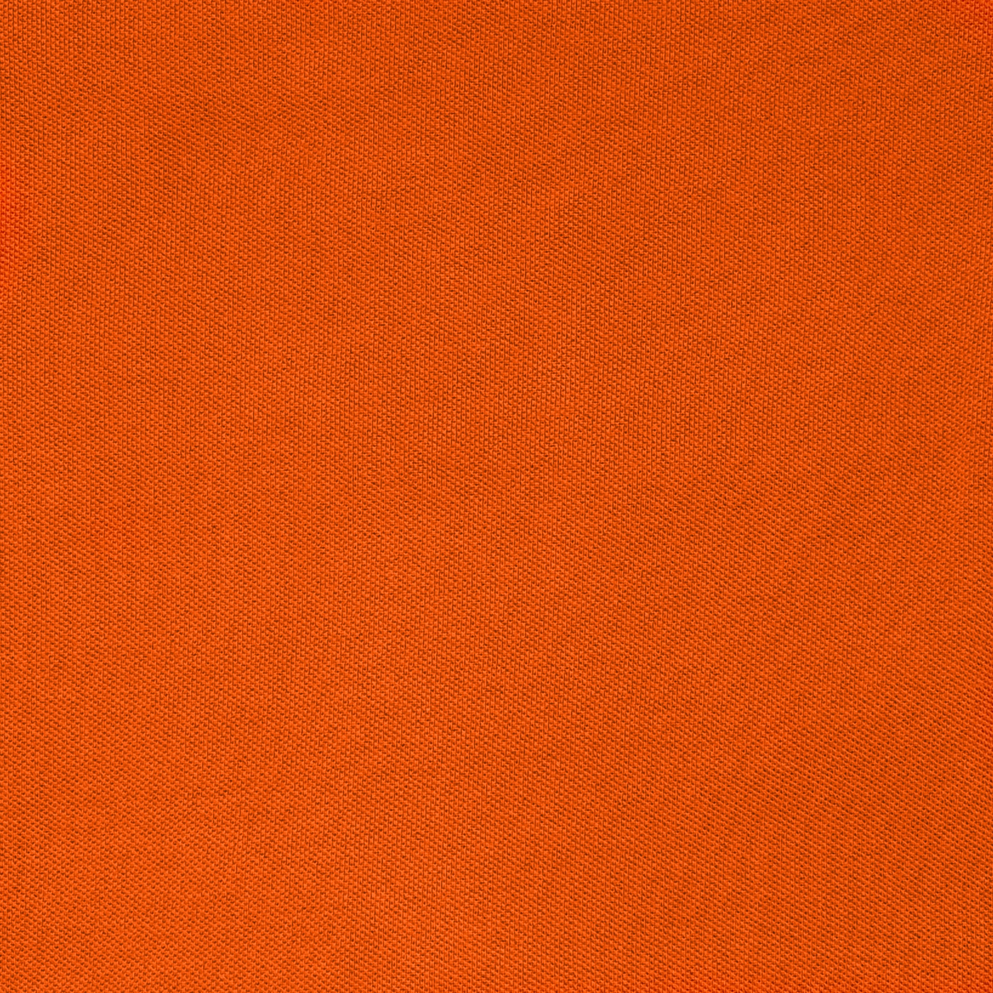 Load image into Gallery viewer, ALAN PAINE Lobster Motif Polo
