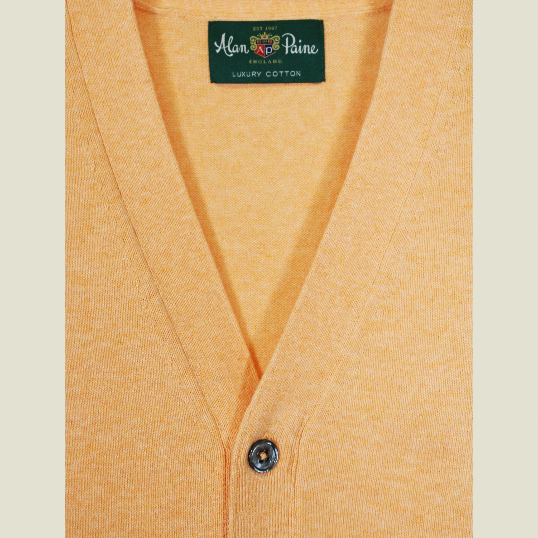 Load image into Gallery viewer, ALAN PAINE Cotton/Cashmere Vest
