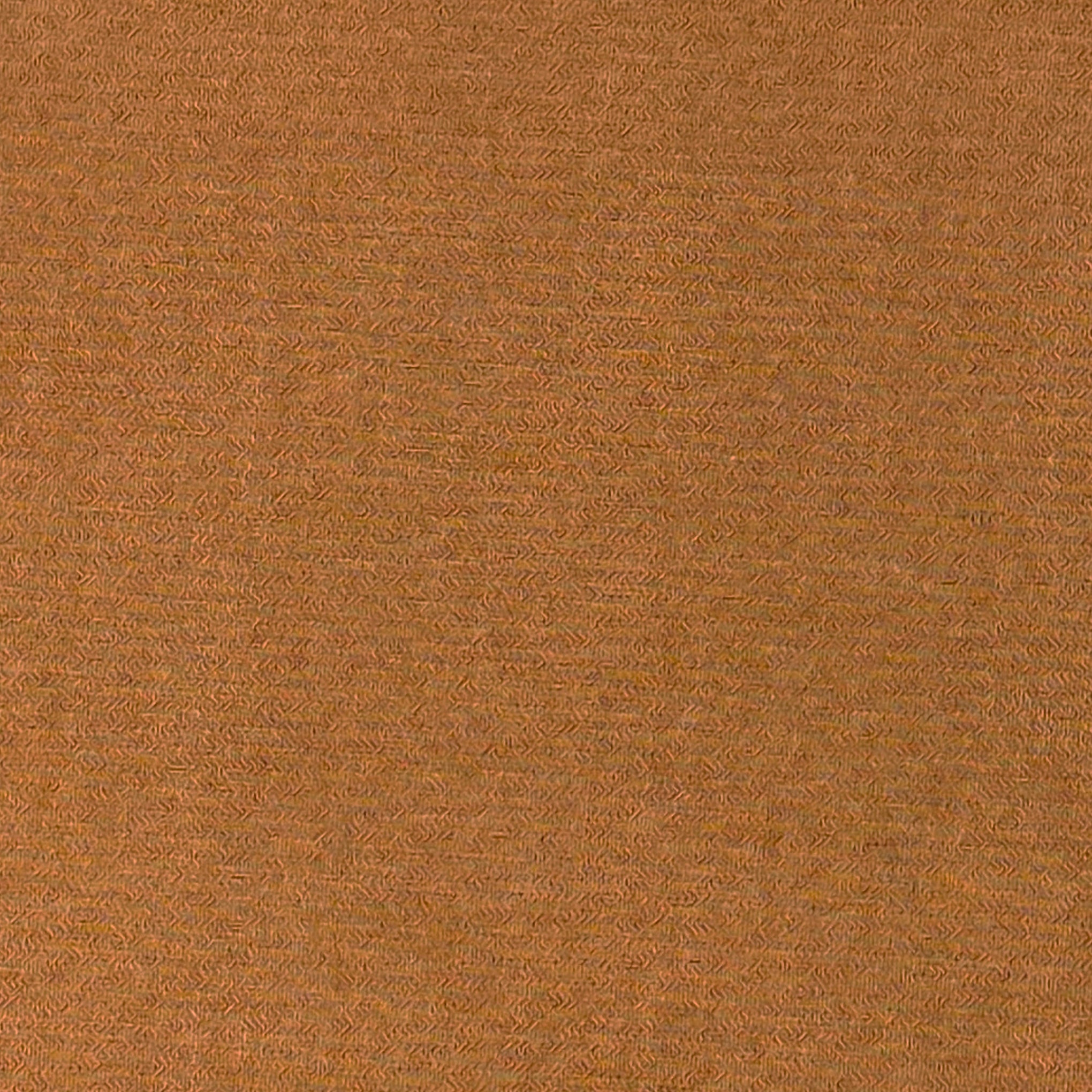 Load image into Gallery viewer, FEDELI Shirt
